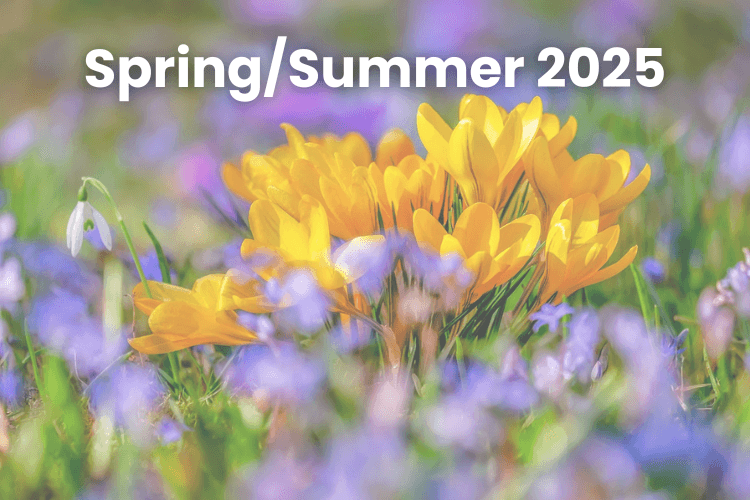 Spring Women Fashion 2025 - The Fair Lady Shop