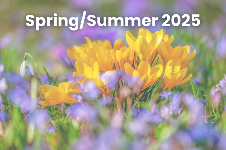 Spring Women Fashion 2025